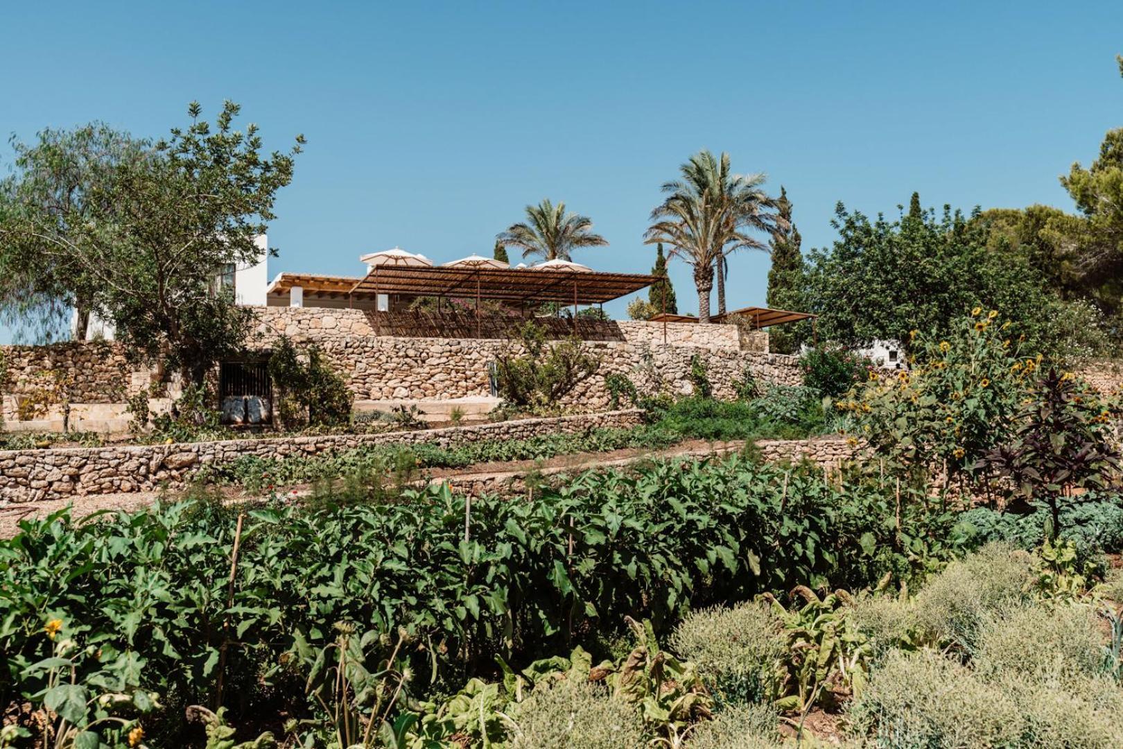 Villa Aguamadera Santa Eulària des Riu Exterior foto